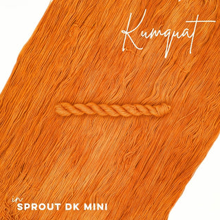 Kumquat | Sprout DK Mini