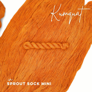 Kumquat | Sprout Sock Mini