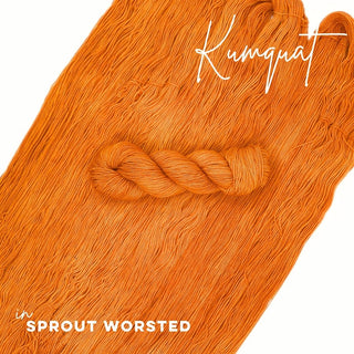 Kumquat | Sprout Worsted