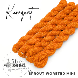 Kumquat | Sprout Worsted Mini
