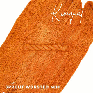 Kumquat | Sprout Worsted Mini