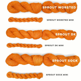 Kumquat | Sprout Sock