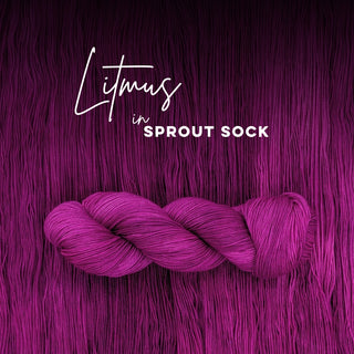 Litmus | Sprout Sock