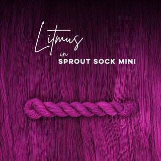 Litmus | Sprout Sock Mini