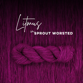 Litmus | Sprout Worsted