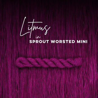 Litmus | Sprout Worsted Mini