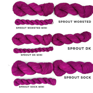 Litmus | Sprout Sock Mini