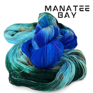 Manatee Bay | Sprout Worsted