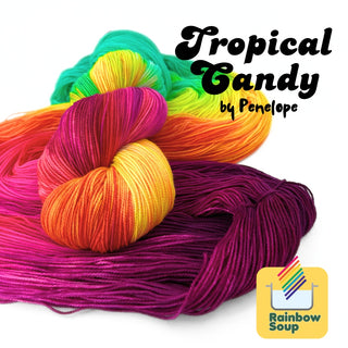 Tropical Candy | Sprout Worsted