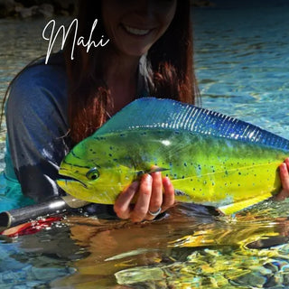 Mahi | Sprout Worsted