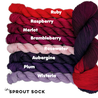 Dragon's Tail | Sprout Worsted