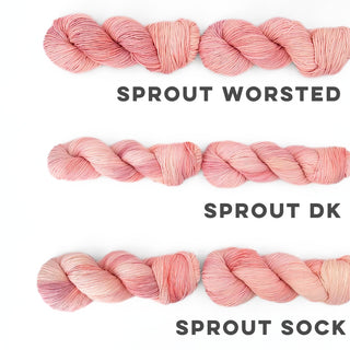 Rise & Shine | Sprout Worsted