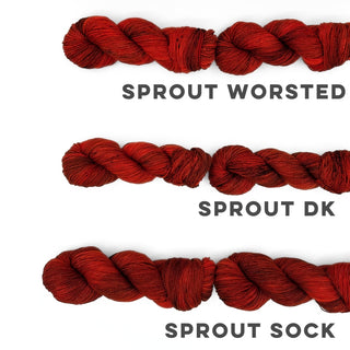 Mulled Spice | Sprout Worsted