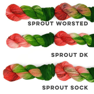 Watermelon | Sprout DK