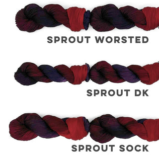 Dragon's Tail | Sprout Worsted