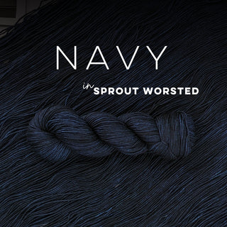 Navy | Sprout Worsted