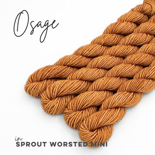 Osage | Sprout Worsted Mini