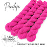 Worsted Mini