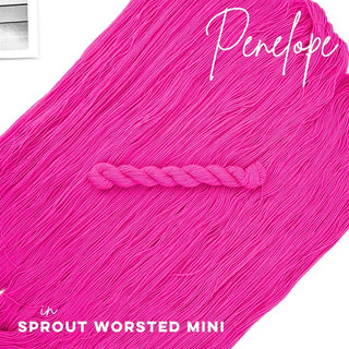 Penelope | Sprout Worsted Mini
