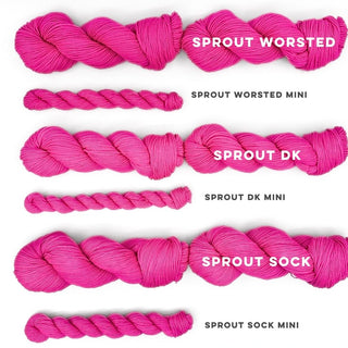 Penelope | Sprout Worsted Mini