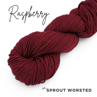 Raspberry | Sprout Worsted
