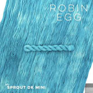 Robin Egg | Sprout DK Mini
