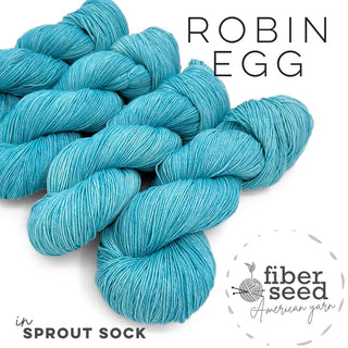 Robin Egg | Sprout Sock