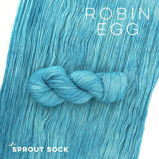 Robin Egg | Sprout Sock
