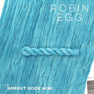 Robin Egg | Sprout Sock Mini