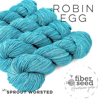 Robin Egg | Sprout Worsted