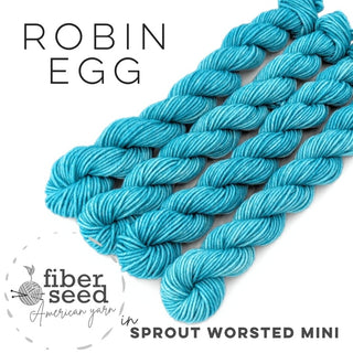 Robin Egg | Sprout Worsted Mini