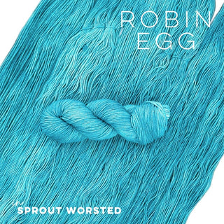 Robin Egg | Sprout Worsted