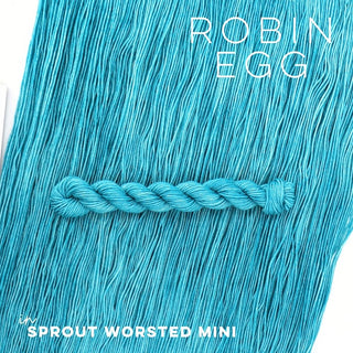 Robin Egg | Sprout Worsted Mini