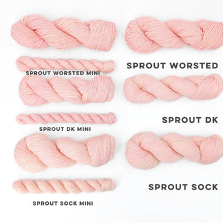 Rosé | Sprout Sock Mini
