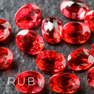 Ruby | Sprout Worsted