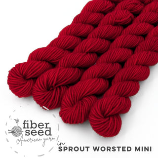 Ruby | Sprout Worsted Mini