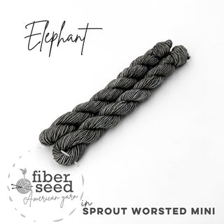 Elephant | Sprout Worsted Mini