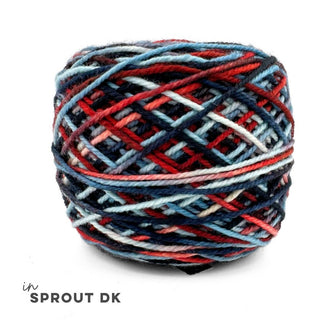 Americana | Sprout Worsted