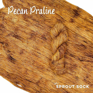 Pecan Praline | Sprout Sock