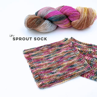 As Summer Fades | Sprout DK