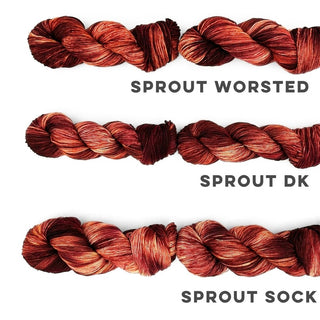Vermont Maple Foliage | Sprout DK