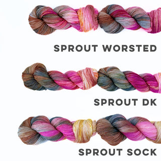 As Summer Fades | Sprout Sock