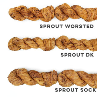 Pecan Praline | Sprout Sock