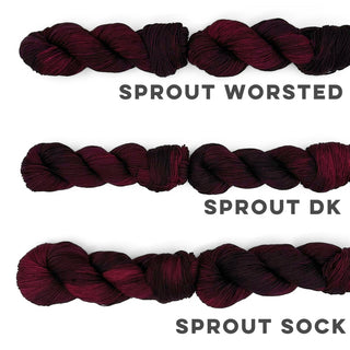 Black Cherry | Sprout DK