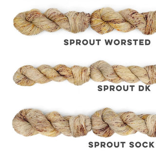 Golden Aspen | Sprout Worsted