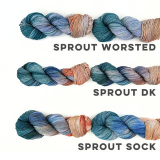 Monet's Sunrise | Sprout Worsted