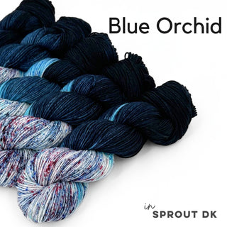 Blue Orchid | Sprout DK