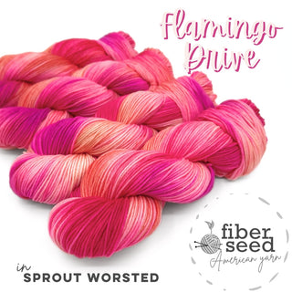 Flamingo Drive | Sprout Worsted