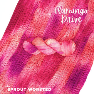 Flamingo Drive | Sprout Worsted