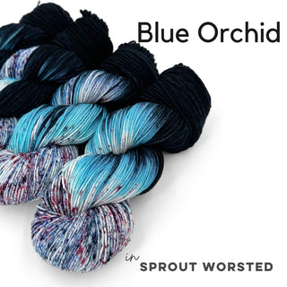 Blue Orchid | Sprout Worsted